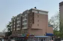 雅居实景图