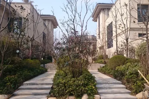 邦泰郡王府实景图小区内部园林实景图（2015-4-10）