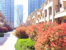 中间楼层6号楼位置好,毛坯大平层,南北视野开阔