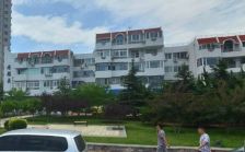 西岗区付家庄国有产权1室诚心卖
