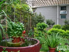 碧河四期水云天公馆 2室1厅 北