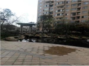 CROSS尚公馆3室2厅南