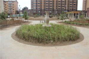 中间楼层毛坯房随意装修房本满二税费低