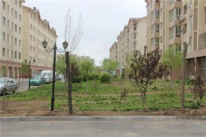 千家和泰·欣家园 3室2厅 南