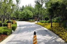 万行中心3室1厅南北