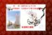 http://img.soufun.com/news/2013_02/19/43/13/hd/003944041600.jpg