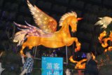 玉龙半岛爱心奉献大型自贡艺术彩灯公益展开幕