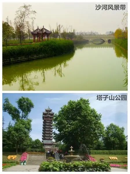 �羰
