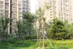 http://img.soufun.com/news/2014_10/16/57/92/hd/402257705700.jpg