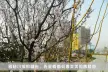 http://img.soufun.com/news/2015_03/24/66/86/hd/008109482200.jpg