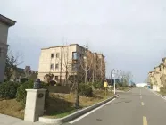 �人С���޵�Ѻ����������ʲô����������Щ