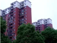 �����������ص�Ѻ����Ҫ����Щ��������Ѻ�ķ��շ���