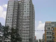 ����С���޵�Ѻ����������ʲô����������Щ