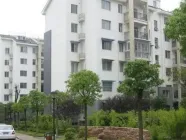 ���ݶ��׷���������������Ƕ��٣����׷��Ĵ�������